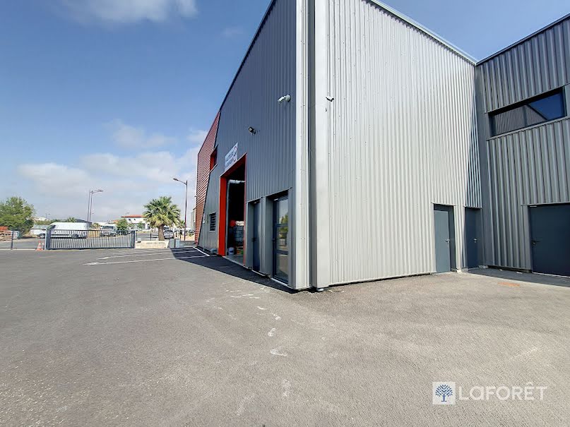 Location  locaux professionnels 1 pièce 126 m² à Rivesaltes (66600), 958 €