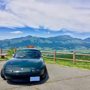 ロードスター NA6CE