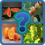 Cover Image of Tải xuống Tell Me the Fruits? 7.3.3z APK