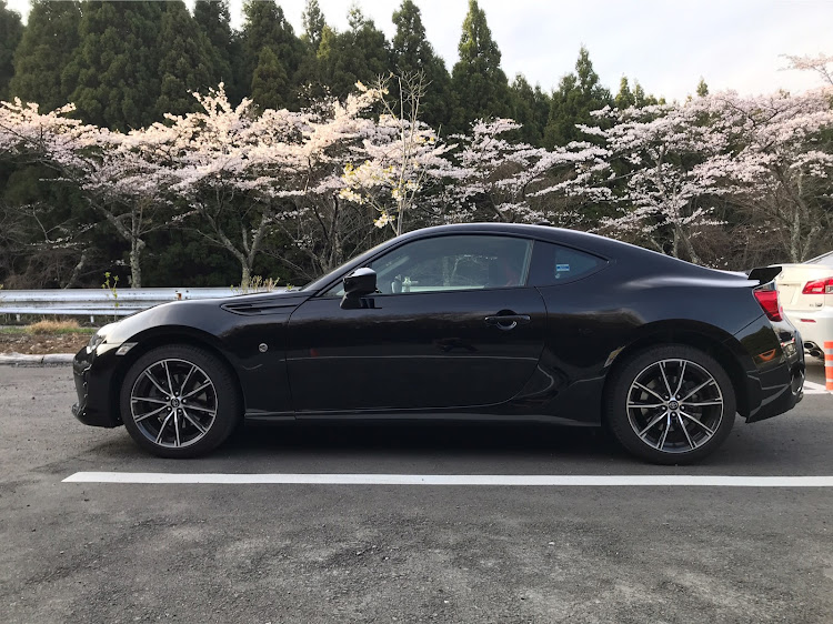 86の桜と愛車・ターンパイク御所の入り駐車場・ターンパイク・伊豆スカイラインに関するカスタム事例の投稿画像1枚目