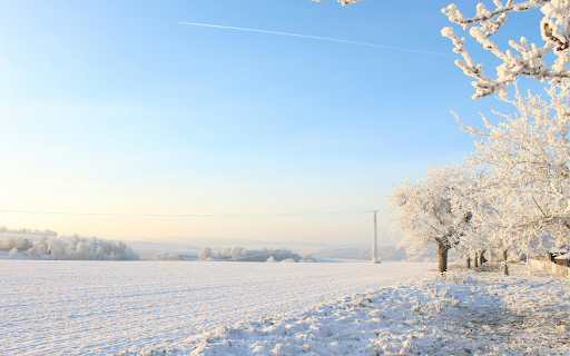 Snow Covered Field screenshot 1