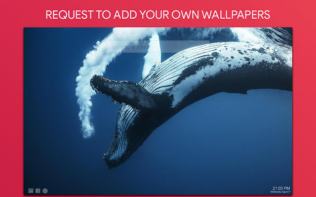 Whale Wallpaper HD Custom New Tab