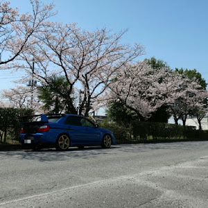 インプレッサ WRX GDA