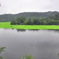 峨眉湖咖啡館