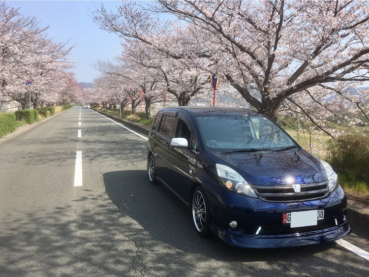アイシスのサクラと愛車に関するカスタム事例の投稿画像1枚目