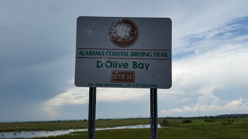 Alabama Coastal Birding Trail 