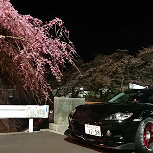 RX-8 SE3P