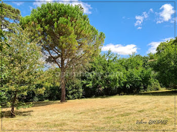 terrain à Quint-Fonsegrives (31)