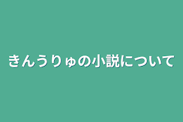 きんうりゅの小説について