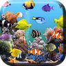 Aquarium Live Wallpaper icon