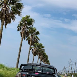 インプレッサ WRX STI GVF