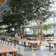 香草菲菲 芳香植物博物館