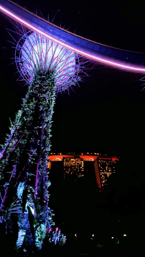 Guide to visiting Gardens by the Bay in Singapore: Supertree Grove in the evening