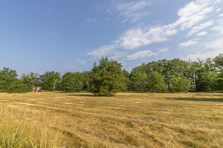 Vente terrain  3596 m² à La Ferté-Imbault (41300), 31 990 €