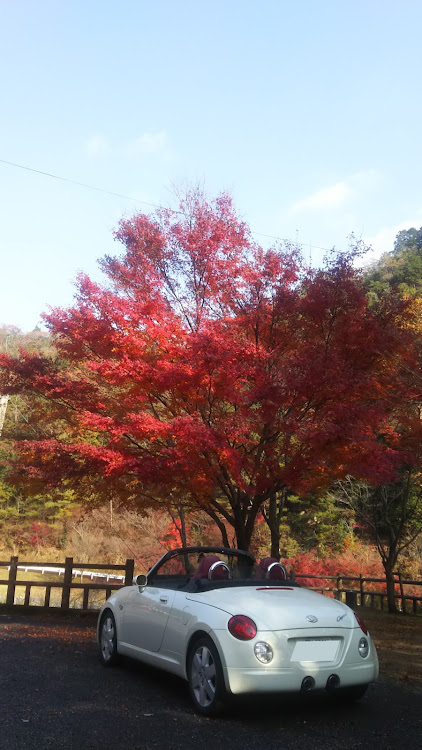 コペンの紅葉・ドライブ・大阪モーターショー・写真リサイクルに関するカスタム事例の投稿画像1枚目