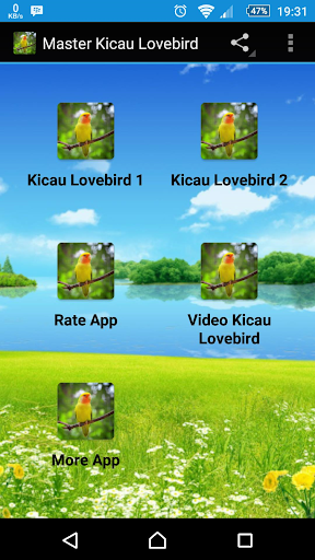 Master Kicau Lovebird