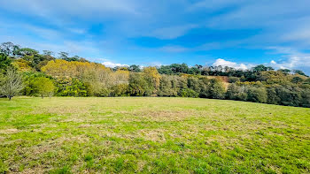 terrain à Biarritz (64)