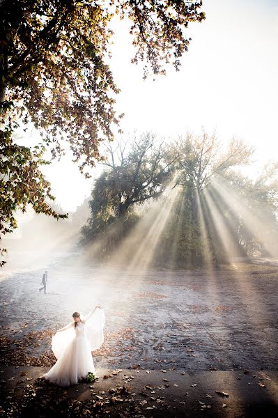 結婚式の写真家Tibor Erdősi (erdositibor)。2015 5月14日の写真