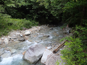 飛び石で越える（丸太橋は岸に）