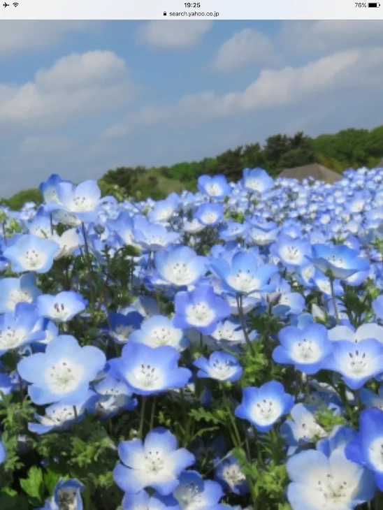 「ふざけただけ」のメインビジュアル