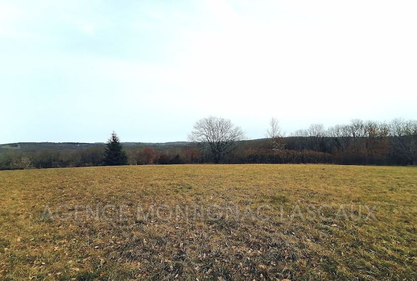  Vente Terrain à bâtir - 5 500m² à La Cassagne (24120) 