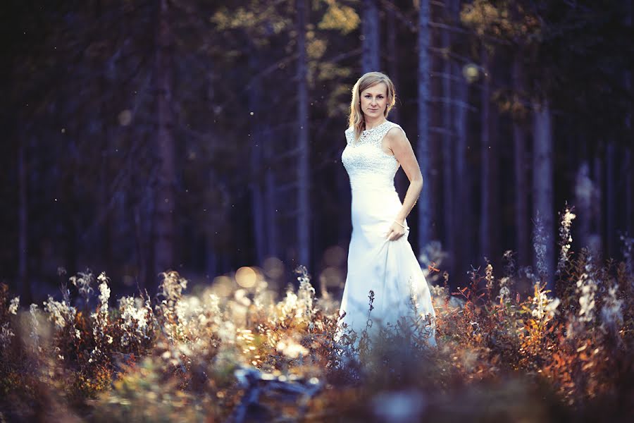 Fotografo di matrimoni Krzysztof Langer (regnal). Foto del 10 ottobre 2014