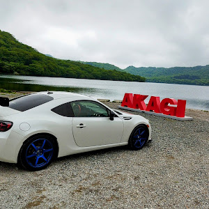 BRZ ZC6