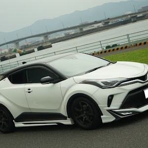 C-HR ZYX11