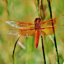 Flame skimmer