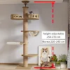 miniatures image - 2