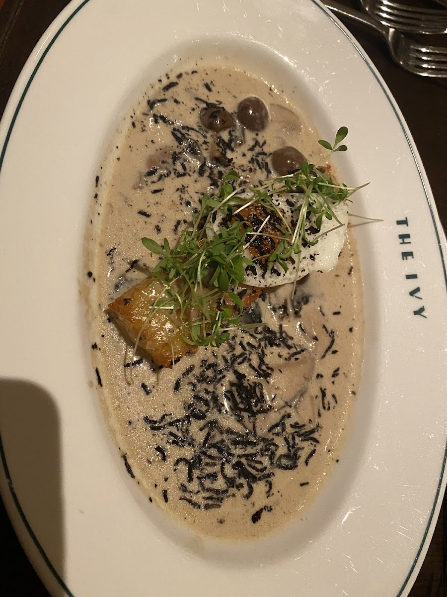 Mushroom Rosti starter