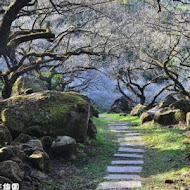 柳家梅園農場