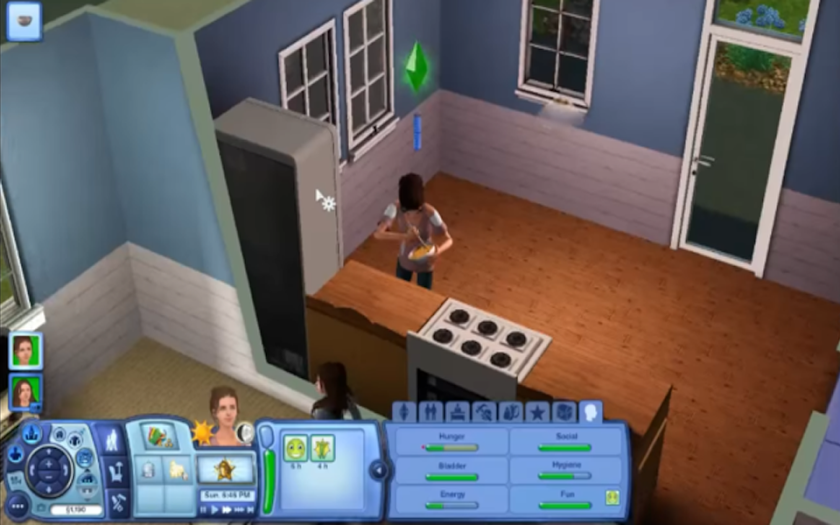 Guide for the Sims3 Screen 1