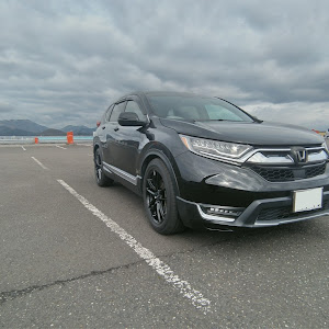 CR-V RW1