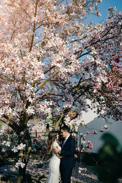 Fotografo di matrimoni Nikola Segan (nikolasegan). Foto del 27 marzo 2019