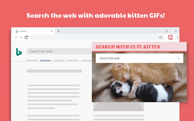 Search with Cute Kitten