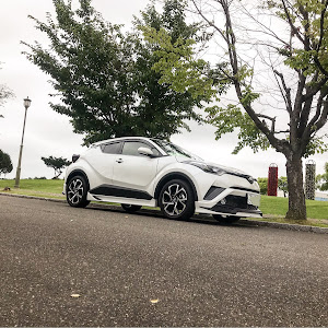 C-HR NGX50