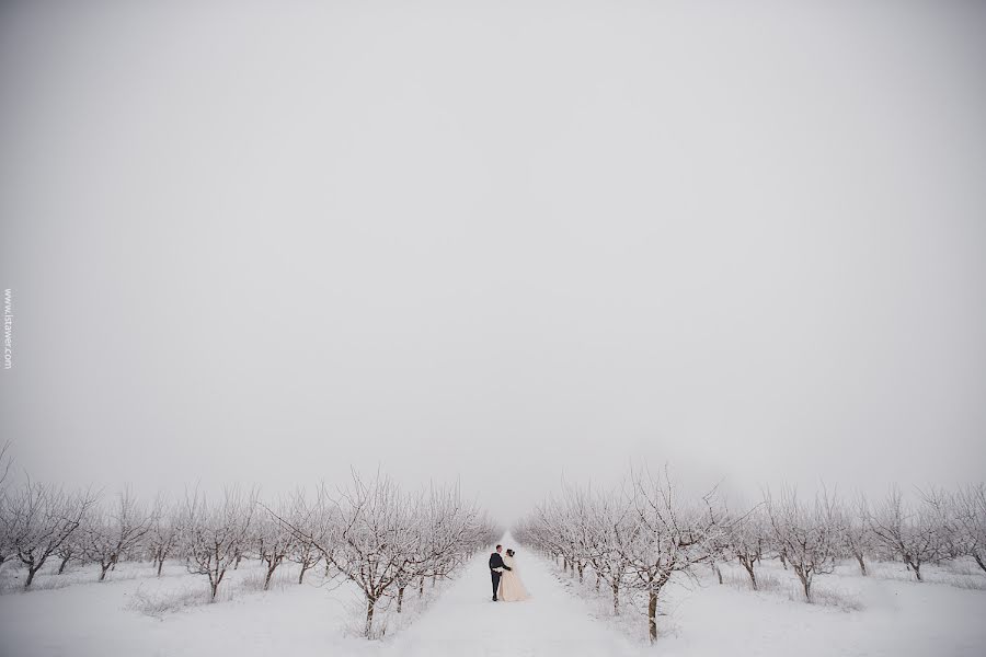 Fotógrafo de casamento Staver Ivan (stawer). Foto de 22 de janeiro 2018