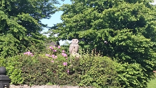 Owl Carving