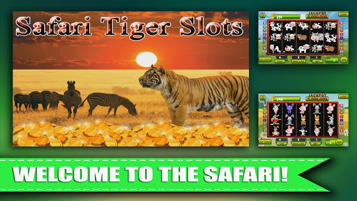 Safari Tiger Slots Casino