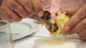 Lisboa: Caracoles, sardinas y percebes thumbnail