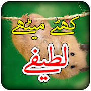 Urdu Latifay  Icon