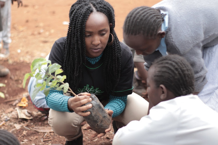 All 16 finalists will each receive a trophy, a certificate and £1,000 (Sh131,000) to expand the scope of their projects.