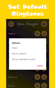 Change Your Voice Changer v4.0 Ad-Free APK 4
