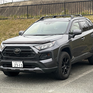 RAV4 MXAA54