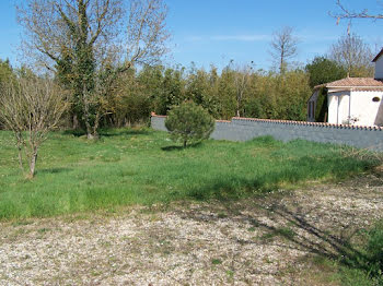 maison neuve à Saint-Georges-de-Didonne (17)