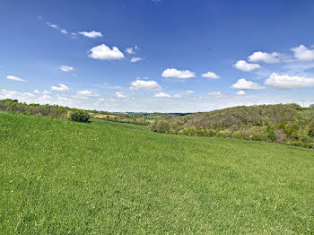 ferme à Marciac (32)