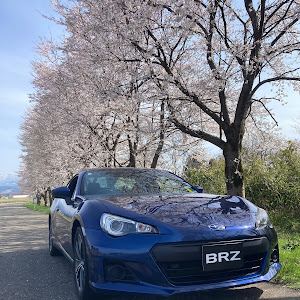 BRZ ZC6