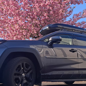 RAV4 MXAA54
