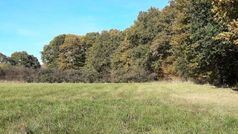 Vente terrain  1000 m² à Espinasse-Vozelle (03110), 50 000 €